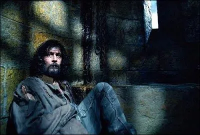 Selon les propos mmes rapports par Sirius Black dans la saga  Harry Potter , pourquoi tait-il insensible  l'environnement hostile ainsi que dsesprant de la prison d'Azkaban ?