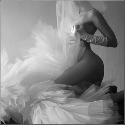 Qu'est-ce que le tulle ?