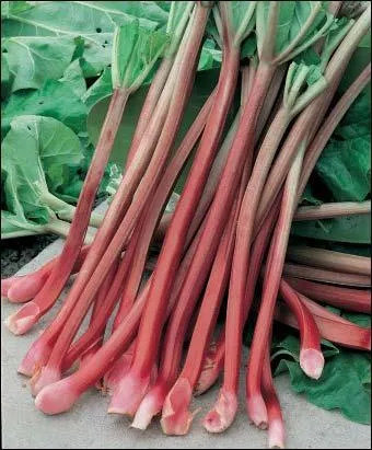 1) Je vais 2) et 3) Caf... (Et le dire c'est bien, mais le fer ? )