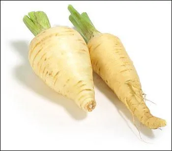 Les cent pas sur... (avec une sauce hollandaise ? )