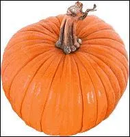 Dj dix heures tout rond... (Ne les piquerait-on pas plutt de clous que d'aiguilles ? )