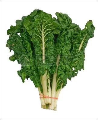 J´avais d´autres... (n'est-ce pas un joli tube, Hercule ? )