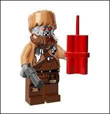 Qu'ai-je dans la main gauche ?