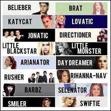 Les fans sont des Directioners.