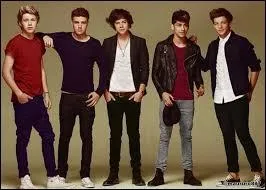 C'est grce   X-Factor  qu'ils existent.