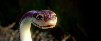 Qui est ce personnage ?