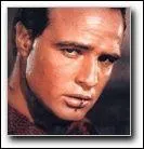 Il joua dans  Un tramway nomm dsir