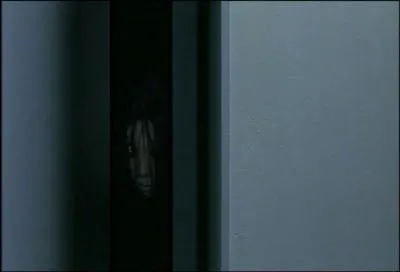 Vous adorez le Japon, vous dsirez acheter une maison dans ce pays, vitez de visiter celle-l, elle est trs mal frquente !