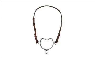 Comment s'appelle ce mors svre ncessitant une main  douce  et exprimente ?