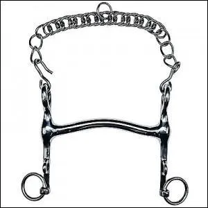 Comment s'appelle ce mors ?