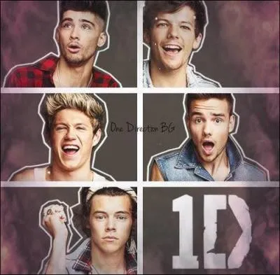 Quel membre du groupe s'est prsent deux fois  X Factor ?