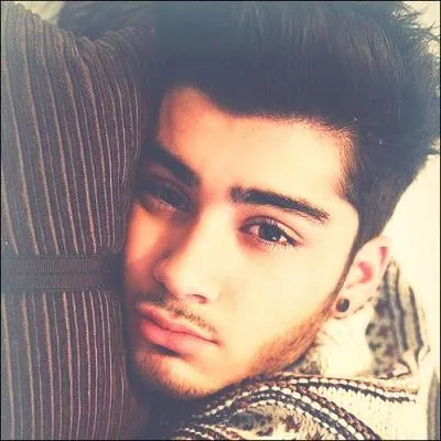 Quelle est l'autre passion de Zayn ?