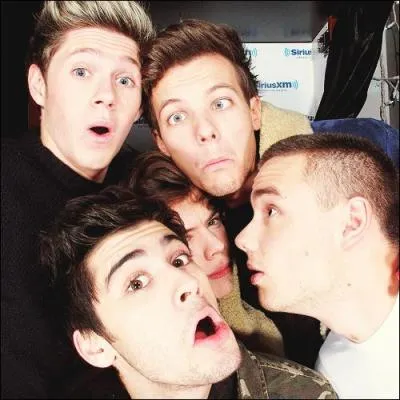 Qui a crit la chanson  Midnight Memories  ? 