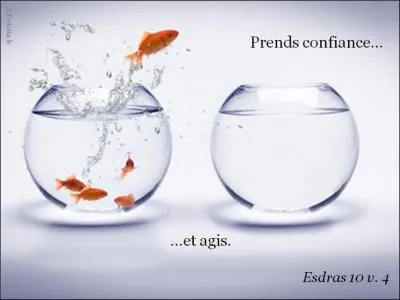 Es-tu --------- pour le grand saut ?