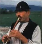 Et que dire du  fluier , une flte toute ordinaire, si ce n'est qu'il permet une trs grande vlocit ?