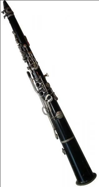 Instrument aujourd'hui plutt rare, qui a faillit disparatre  maintes reprise, il est le complment des vents dans les orchestres :