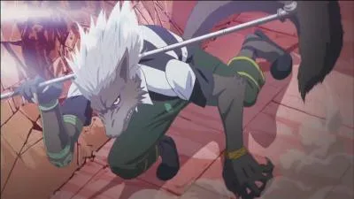 De quel manga provient-il ?