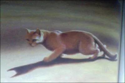 Qui sont les 2 apprentis qui le repoussent ?