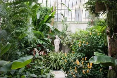 Quelle est cette chanson d'Henri Salvador, sur un rythme de bossa nova tranquille ?