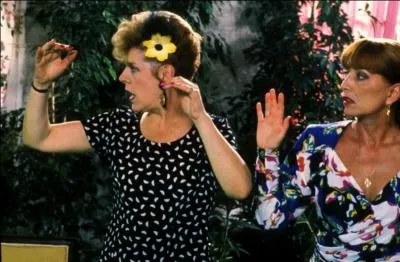 Qui est le ralisateur du film  Les saisons du plaisir  avec Jacqueline Maillan, Michel Serrault, Charles Vanel ... ?