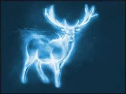 Re : Harry Potter. Quelle est la formule du sortilge Patronus (Attention ! ce quiz parle des films, pas des livres)