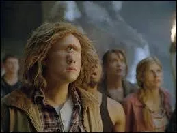 Percy Jackson. Qui est Tyson ?