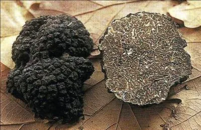 Qui a crit : 'La truffe est le diamant noir de la cuisine. ' ?