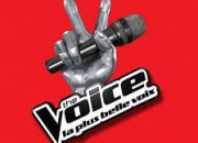 Quiz The Voice, la plus belle voix