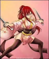 Quand apparat pour la premire fois cette armure ?