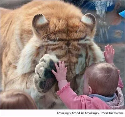 De ces trois mots, lequel a un rapport avec un miroir ou une glace ?