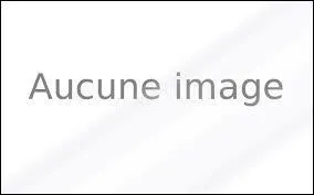 Quelle est la voiture la plus vendue en France en 2015 ?