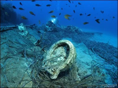 Soyez attentifs et tenez compte qu'il faut faire apparaître le sujet comme une seule entité dans la phrase qui suit. 
Un banc de poissons (vivre) près de l'épave.