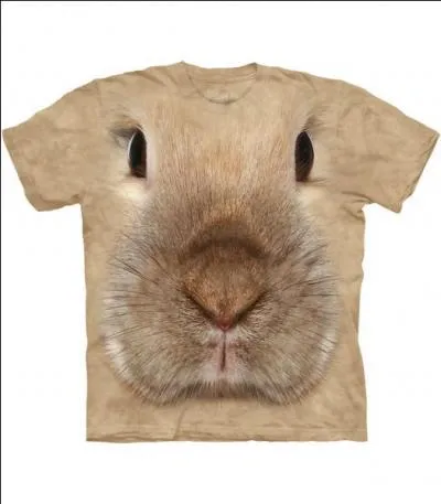 Son nom est souvent synonyme d'attente prolonge et inutile !