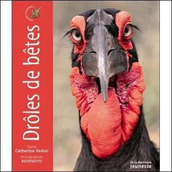 Si vous ne le trouvez pas, vous pourrez tre celui de la farce !