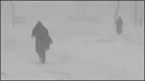 Comment appelle-t-on une tempte de neige ?