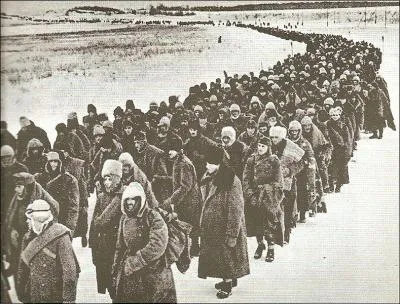 Sur les 260 000 hommes que comptait la 6e arme, seulement 91 000 d'entre eux survcurent pour ainsi rejoindre les camps de prisonniers sovitiques. Sur ces 91 000 hommes, combien survivront  la guerre ?