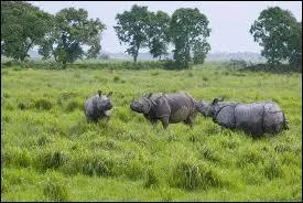 Combien en reste-t-il en libert ?