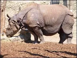 Quel est son tat dans l'UICN ?