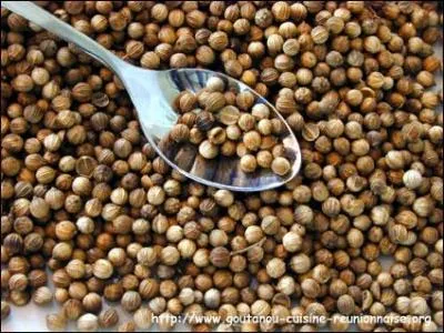 La Coriandre est une plante herbace qui ressemble au Persil et qui est souvent utilise comme pice pour assaisonner les plats, mais  quelle senteur l'associe-t-on ?