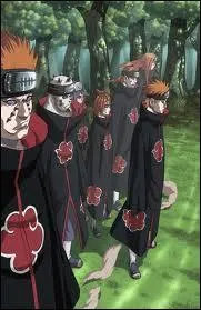 De quelle organisation font-ils partie ?