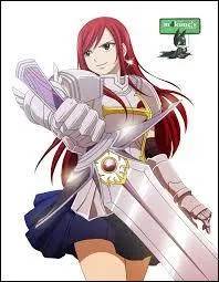 Quelle est cette armure ?