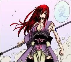 Quelle est cette armure ?