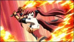 Quelle est cette armure ?