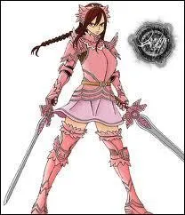 Quelle est cette armure ?