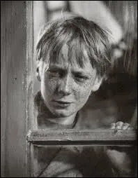 Franois Lepic est un personnage qui apparat dans un roman ...