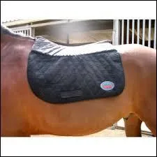 Ce tapis est-il  l'endroit ?