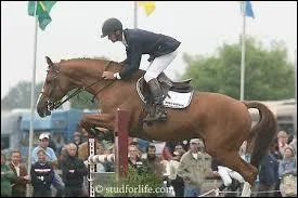 L'ordre de l'harnachement :