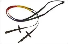 Comment appelle-t-on la partie qui sert  diriger le cheval sur le filet ?