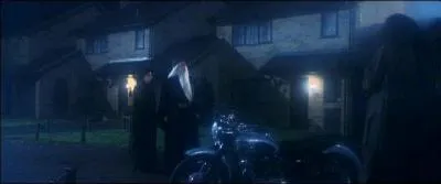 Peu aprs cet vnement, la confusion la plus totale rgne. Alors que Severus Rogue est effondr par la mort de Lily Potter, Harry Potter est confi  Rubeus Hagrid. Comment l'amne-t-il en scurit chez les Dursleys ?