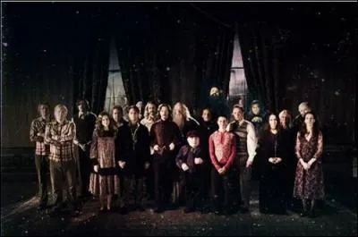 Face aux multiples rassemblements des forces des tnbres oprs par Lord Voldemort, Albus Dumbledore dcide de crer, au cours des annes 1970, une organisation secrte qu'il nommera l'Ordre du Phnix. Quelles grandes lignes de sorciers reconnus donnent leur allgeance  l'Ordre du Phnix en se battant aux cts du directeur de Poudlard ?